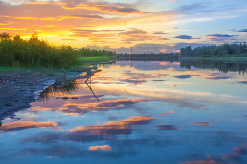 光影定格，見(jiàn)證榮耀——伊比沙杯廊坊首屆攝影大展獲獎(jiǎng)公示暨專業(yè)攝像服務(wù)回顧