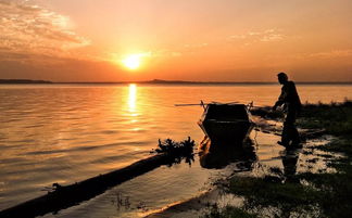 光影瞬間，生活之美 手機(jī)攝影作品精選賞析